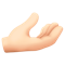 Palm Up Hand- Light Skin Tone emoji on Facebook